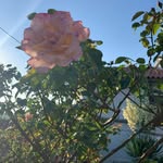 Holiday Home Erika - @holiday_home_erika - Instagram