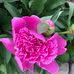 Erika Hyde - Facebook