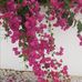 Erika Jack - Facebook
