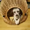 erikaklarmann - @erikaklarmann - TikTok