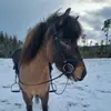 Erika Larsson - @skraddarsgard - TikTok
