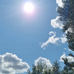 Erika Larsson - Facebook