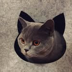 Erika Larsson - @el_cutecats2 - Instagram