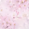 Erika Lin - @itserikalin - TikTok