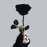 Erika  Mancillas - @mancillaserika - Instagram