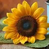 Erika🌻🦋🌸💞🌶️ - @erika.mancillas - TikTok