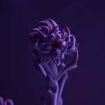 Erika Manning / Fotografía - @erika_manning_photo - Instagram