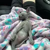 Sandra Erika Martel - @sandraerikamartel - TikTok