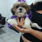 erika minor - @erikaminor565 - Instagram