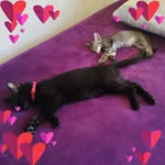 Erika Minor Ortega - @erika_minor.ortega1 - Instagram