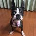 Erika Ohno - Facebook