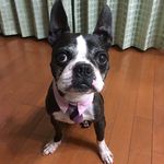 Erika Ohno - @eri070911 - Instagram