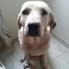 Erika Lozano💖 - @erika_lozan0 - TikTok