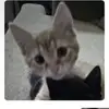 erikapostingacc - @erikaspostingrandomastuf - TikTok