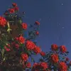 hey ,🙂 - @erikapostsss - TikTok