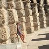 Erika Randall - @erikarandall0 - TikTok
