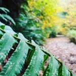 erika robbins - @maroon_5544 - Instagram