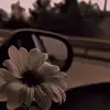 erika 💕 - @robledoerika - TikTok