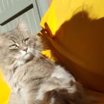 Erika Rocco - @erika.rocco.77964 - Instagram