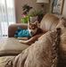 Erica Root - Facebook