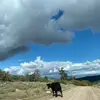 erikasailer - @erikasailer - TikTok