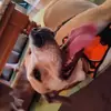Erika - @erikaseitz44 - TikTok