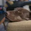 Erika Seitz - @erikaseitz - TikTok