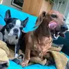 Erika Stern210 - @erikastern420 - TikTok