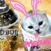 Erika Stern - Facebook