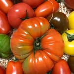 Erik Axel Svante Lindgård - @freshfoods_svante - Instagram