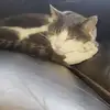 Erik Theus - @erik.theus - TikTok