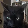 erika - @erikaathomson - TikTok