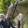 Erika Timm Jegerstedt - @erikatimmjegerstedt - TikTok