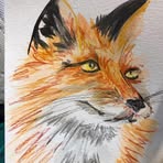 Erika Tinney - Facebook