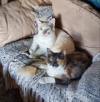Erika Tinney - Facebook