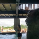 Erika Toscano - @ericka_toscano - Instagram