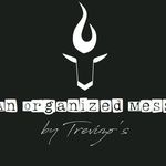 Erika Leon de Trevizo - @anorganizedmessbytrevizos - Instagram