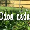 Erika Trochez - @erikatroche302 - TikTok