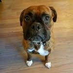 Erik Tuthill - @tutva - Instagram