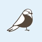 Erika Tuttle, ATR, LPC - @spark_bird_studio - Instagram