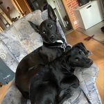 Tyson und Erika - @tyson_und_erika - Instagram