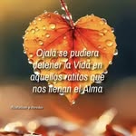 joanna ambeliz - @erika_valiente_ - Instagram