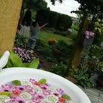 Erika Wada - @tottwe - Instagram