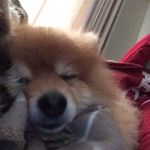 Erika Wiley - @tratemresdistprep721 - Instagram