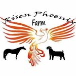 Erika wright - @risenphoenixfarm - Instagram