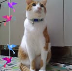 Eriko Mori - Facebook