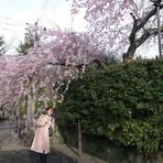 Eriko Mori - Facebook