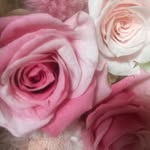 Eriko Mori - @eriko.mori.73 - Instagram