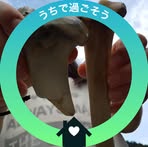 Eriko Mori - Facebook