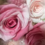 Eriko Mori - Facebook